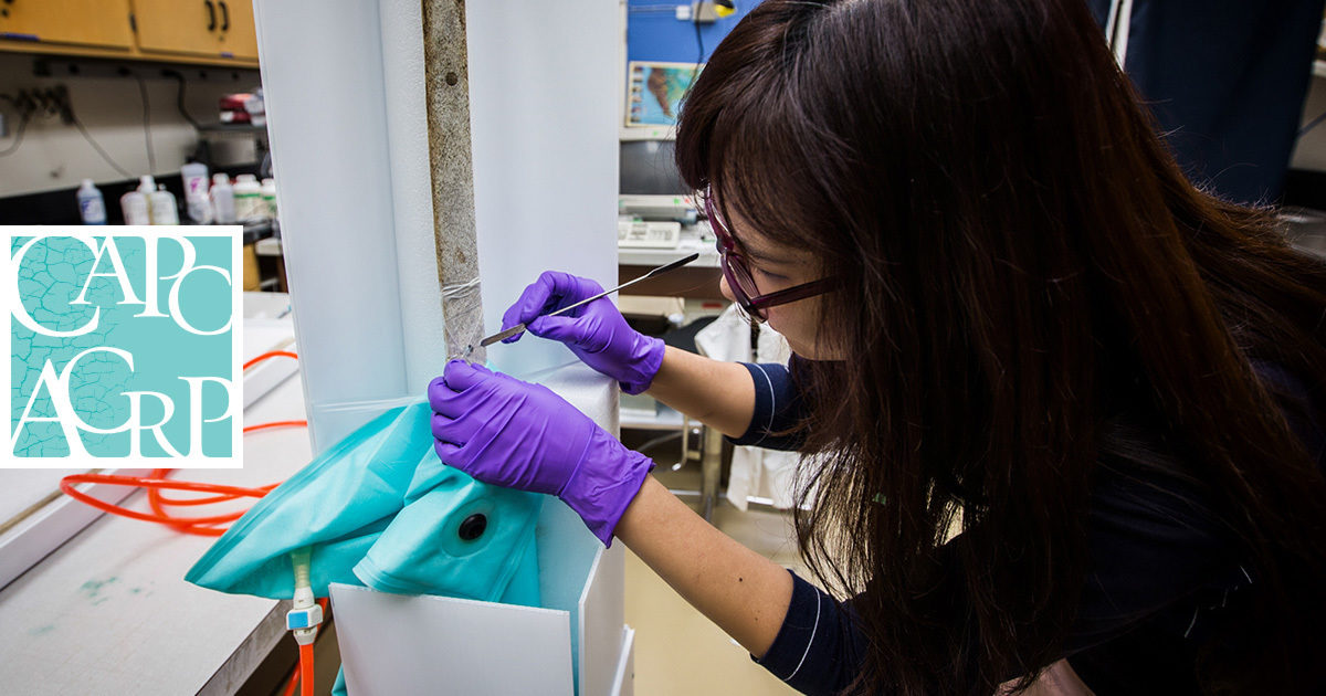 Find a conservator – Canadian Association of Professional Conservators